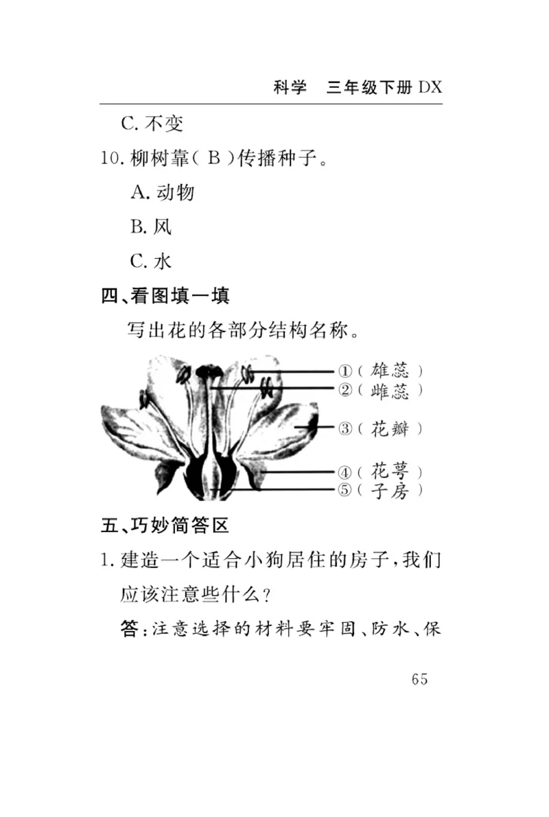 大象版科学三年级下册速记速查_2024年人教版小学数学一二三四五六年级上册下册期中期末试a0747_小学全科《同步练习+精品试卷》打包下载（1-6年级单元月考期中期末试卷）_小学科学