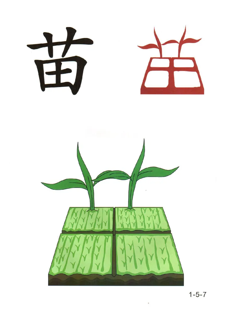 幼儿趣味识字(1)_幼小衔接全套_幼小衔接资料大全_幼小衔接资料1️⃣_幼小衔接语文_识字