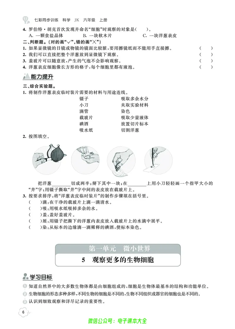 科学6a_2024年人教版小学数学一二三四五六年级上册下册期中期末试a0747_小学全科《同步练习+精品试卷》打包下载（1-6年级单元月考期中期末试卷）_小学科学