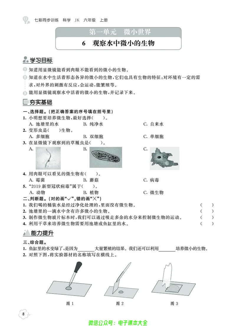 科学6a_2024年人教版小学数学一二三四五六年级上册下册期中期末试a0747_小学全科《同步练习+精品试卷》打包下载（1-6年级单元月考期中期末试卷）_小学科学