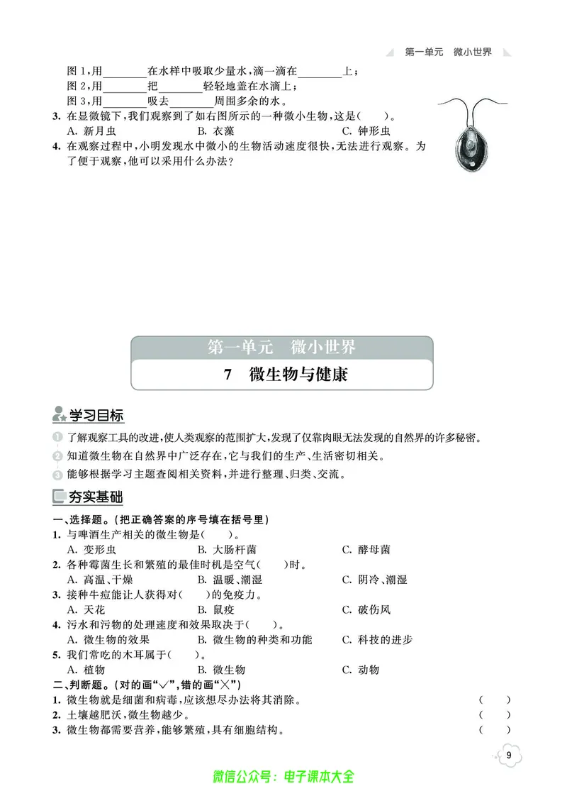 科学6a_2024年人教版小学数学一二三四五六年级上册下册期中期末试a0747_小学全科《同步练习+精品试卷》打包下载（1-6年级单元月考期中期末试卷）_小学科学