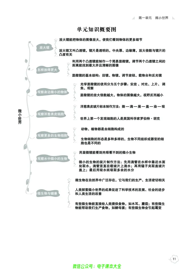 科学6a_2024年人教版小学数学一二三四五六年级上册下册期中期末试a0747_小学全科《同步练习+精品试卷》打包下载（1-6年级单元月考期中期末试卷）_小学科学