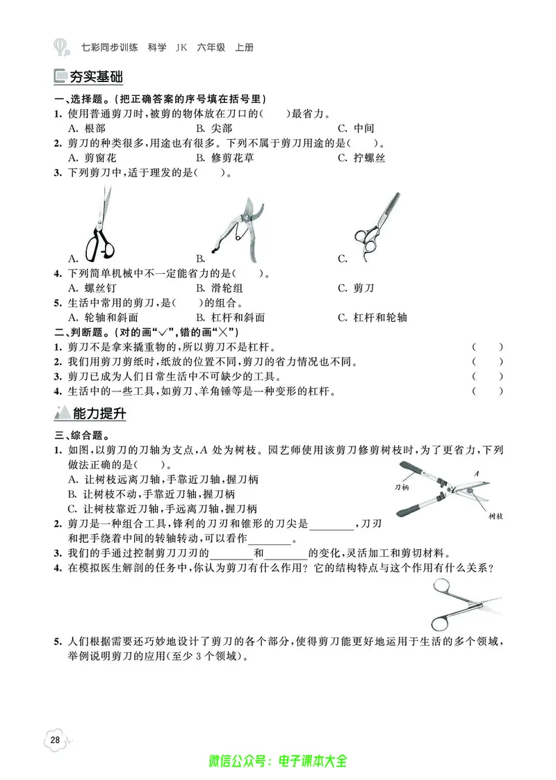 科学6a_2024年人教版小学数学一二三四五六年级上册下册期中期末试a0747_小学全科《同步练习+精品试卷》打包下载（1-6年级单元月考期中期末试卷）_小学科学