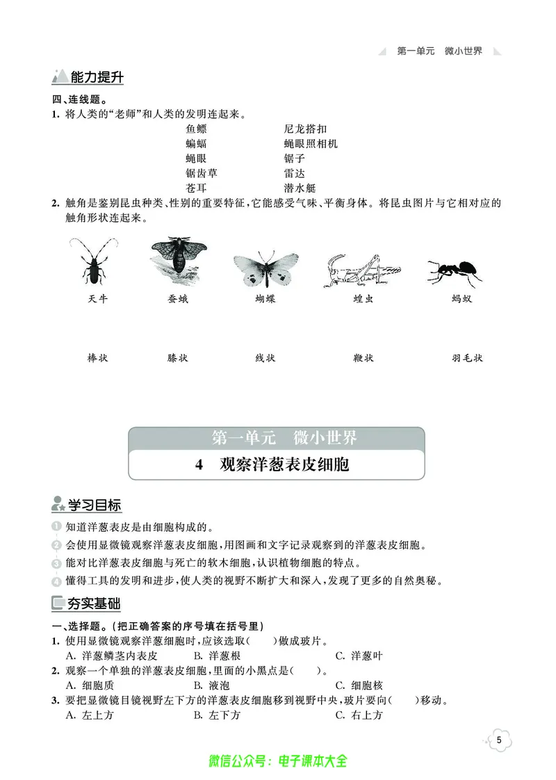 科学6a_2024年人教版小学数学一二三四五六年级上册下册期中期末试a0747_小学全科《同步练习+精品试卷》打包下载（1-6年级单元月考期中期末试卷）_小学科学