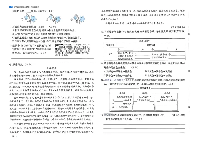 一本周末小测语文四年级_四上(1)