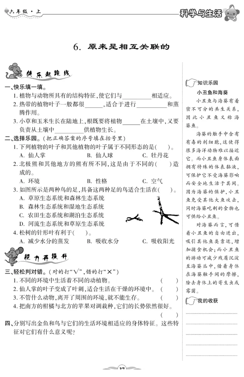 科学与生活六年级上册教科版_2024年人教版小学数学一二三四五六年级上册下册期中期末试a0747_小学全科《同步练习+精品试卷》打包下载（1-6年级单元月考期中期末试卷）_小学科学