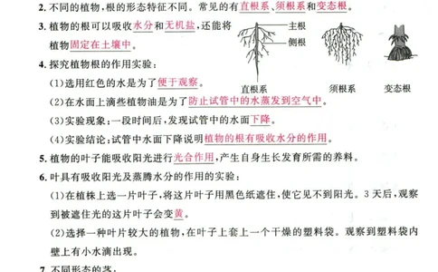 阳光同学教材知识梳理科学_2024年人教版小学数学一二三四五六年级上册下册期中期末试a0747_小学全科《同步练习+精品试卷》打包下载（1-6年级单元月考期中期末试卷）