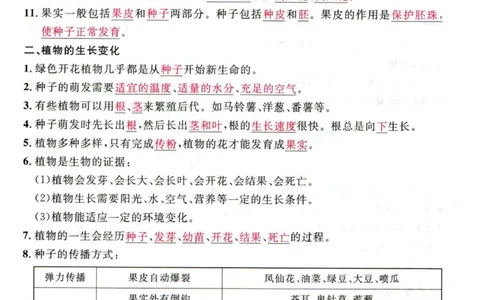 阳光同学教材知识梳理科学_2024年人教版小学数学一二三四五六年级上册下册期中期末试a0747_小学全科《同步练习+精品试卷》打包下载（1-6年级单元月考期中期末试卷）