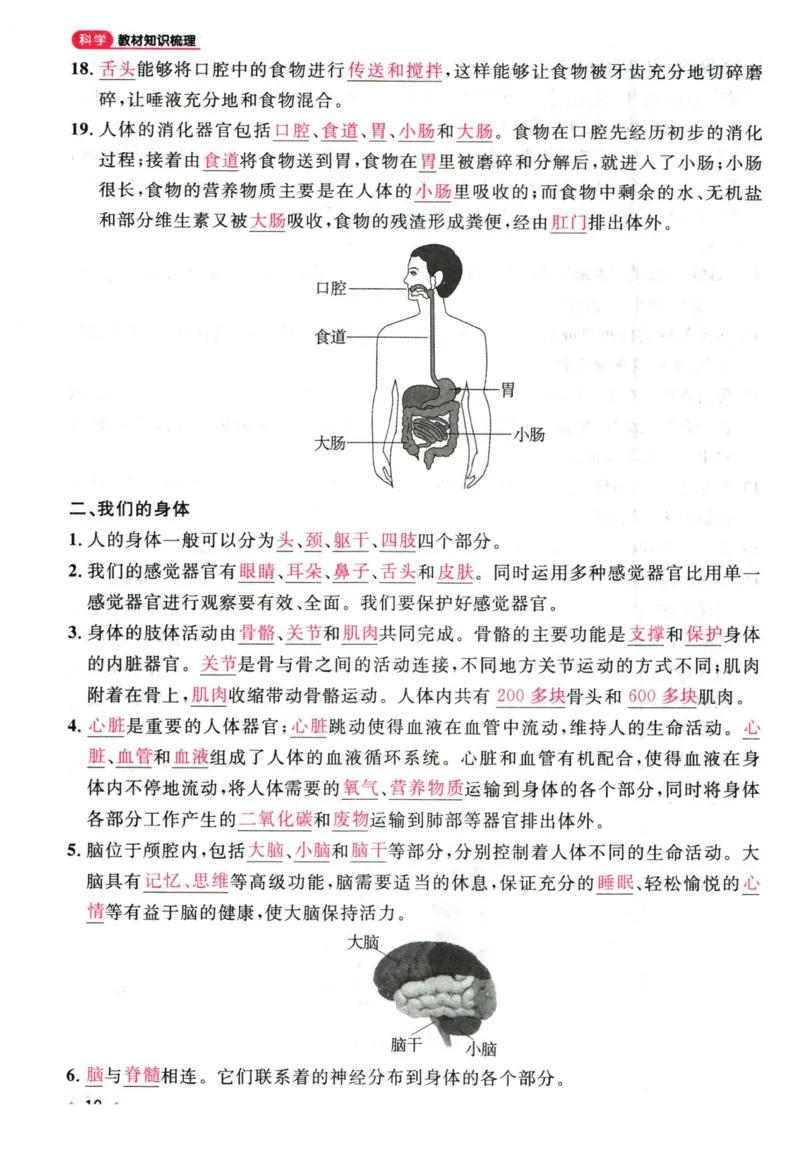 阳光同学教材知识梳理科学_2024年人教版小学数学一二三四五六年级上册下册期中期末试a0747_小学全科《同步练习+精品试卷》打包下载（1-6年级单元月考期中期末试卷）