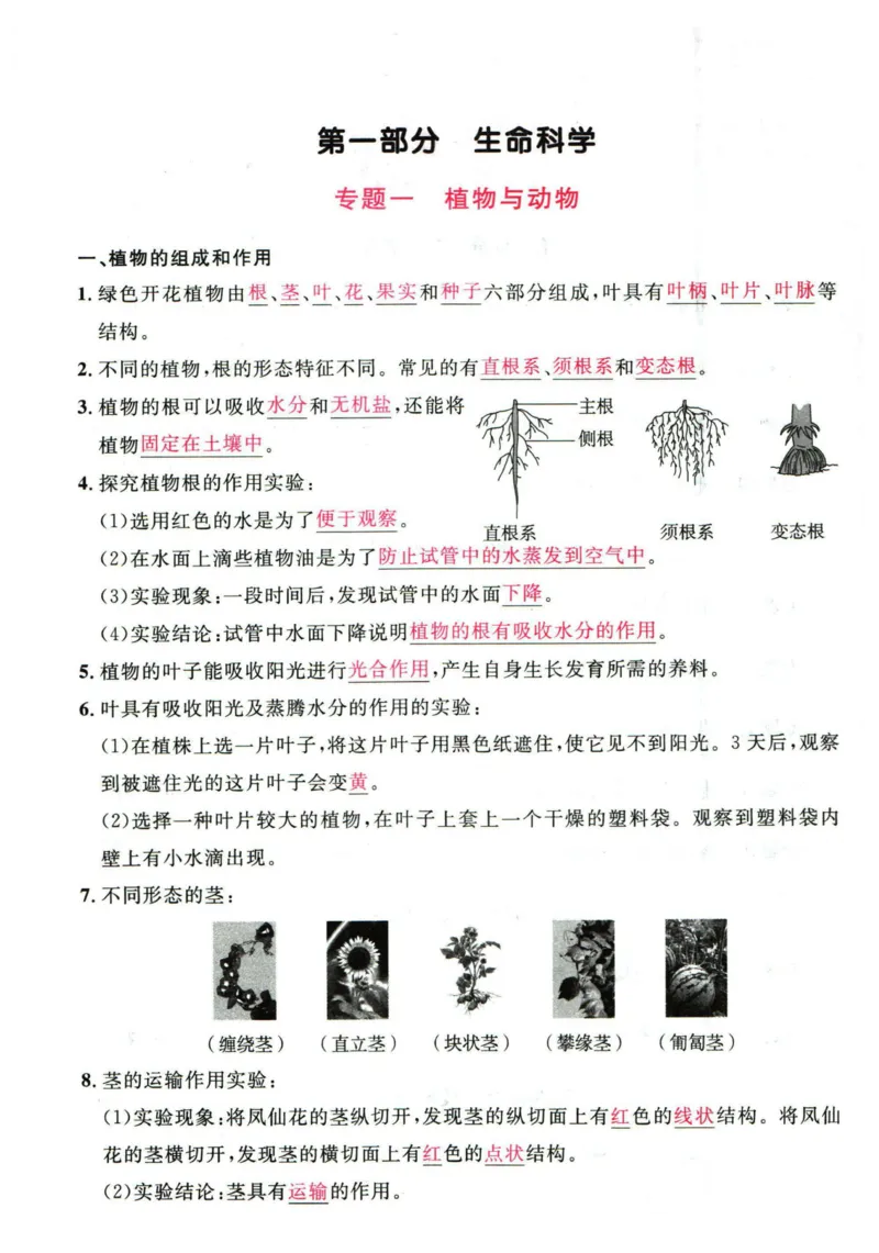 阳光同学教材知识梳理科学_2024年人教版小学数学一二三四五六年级上册下册期中期末试a0747_小学全科《同步练习+精品试卷》打包下载（1-6年级单元月考期中期末试卷）