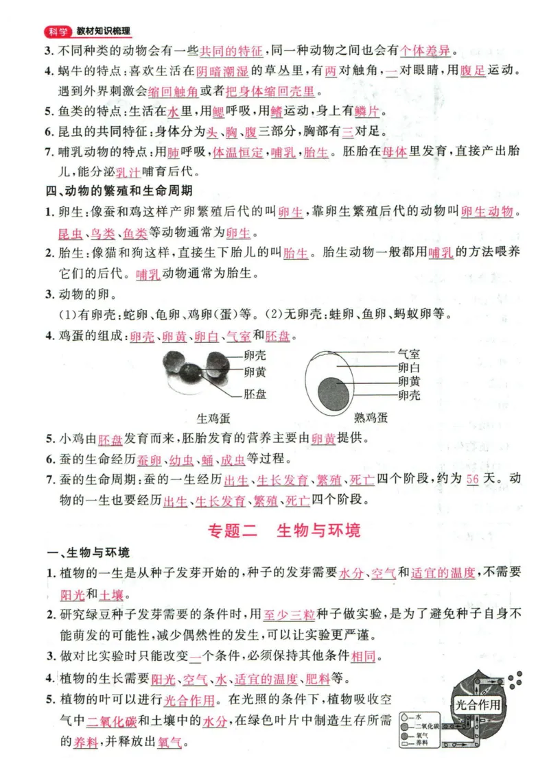 阳光同学教材知识梳理科学_2024年人教版小学数学一二三四五六年级上册下册期中期末试a0747_小学全科《同步练习+精品试卷》打包下载（1-6年级单元月考期中期末试卷）