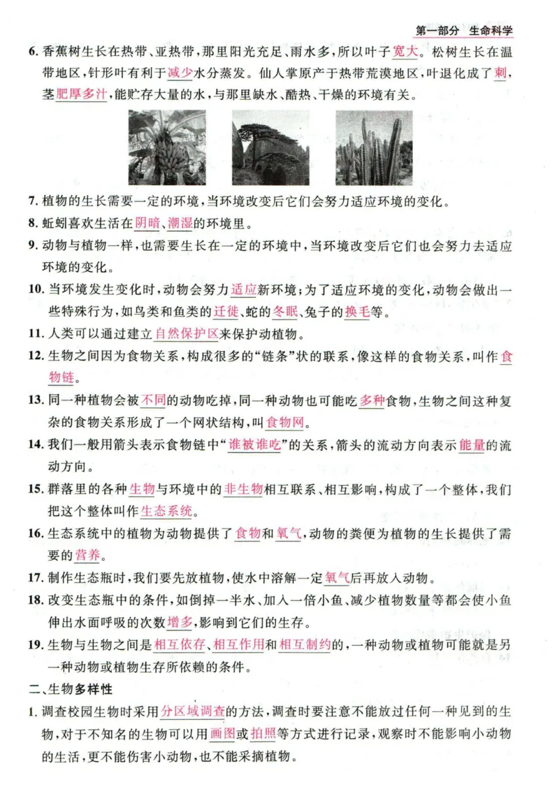 阳光同学教材知识梳理科学_2024年人教版小学数学一二三四五六年级上册下册期中期末试a0747_小学全科《同步练习+精品试卷》打包下载（1-6年级单元月考期中期末试卷）