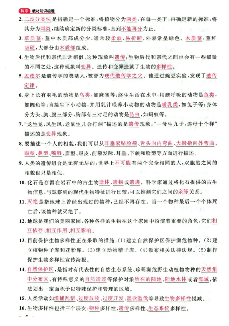 阳光同学教材知识梳理科学_2024年人教版小学数学一二三四五六年级上册下册期中期末试a0747_小学全科《同步练习+精品试卷》打包下载（1-6年级单元月考期中期末试卷）