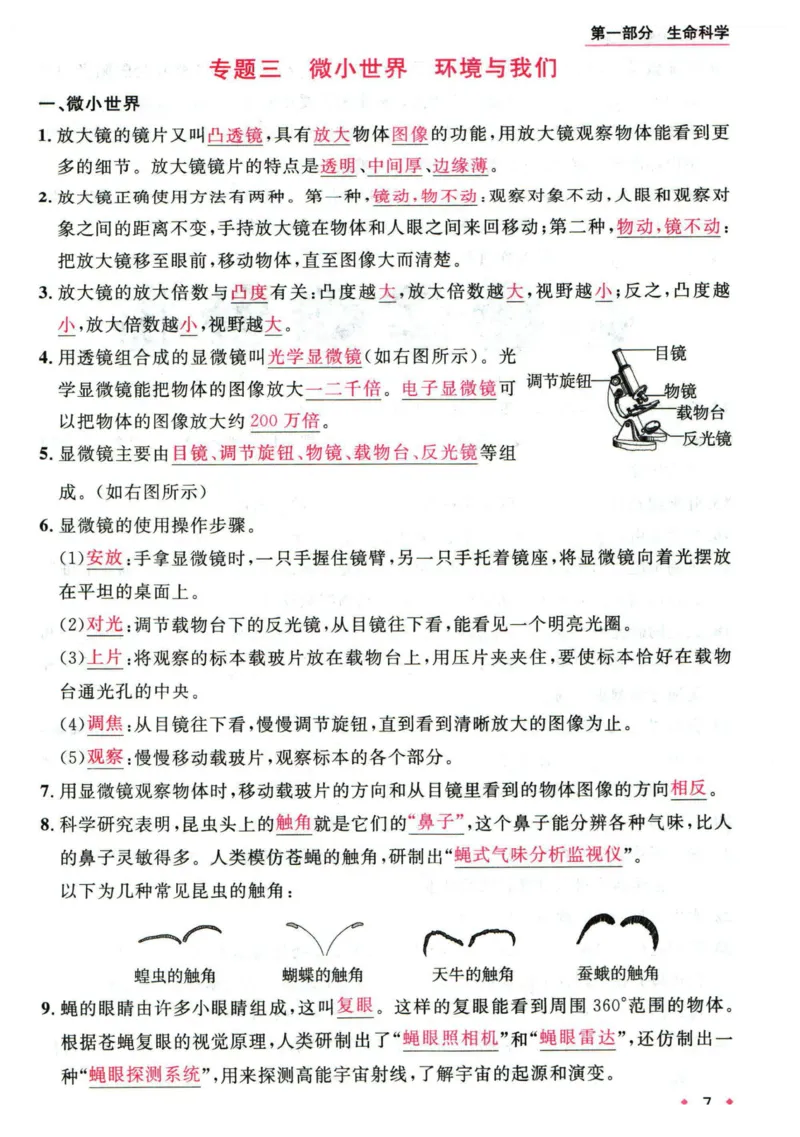 阳光同学教材知识梳理科学_2024年人教版小学数学一二三四五六年级上册下册期中期末试a0747_小学全科《同步练习+精品试卷》打包下载（1-6年级单元月考期中期末试卷）