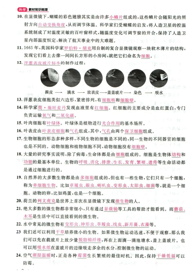 阳光同学教材知识梳理科学_2024年人教版小学数学一二三四五六年级上册下册期中期末试a0747_小学全科《同步练习+精品试卷》打包下载（1-6年级单元月考期中期末试卷）