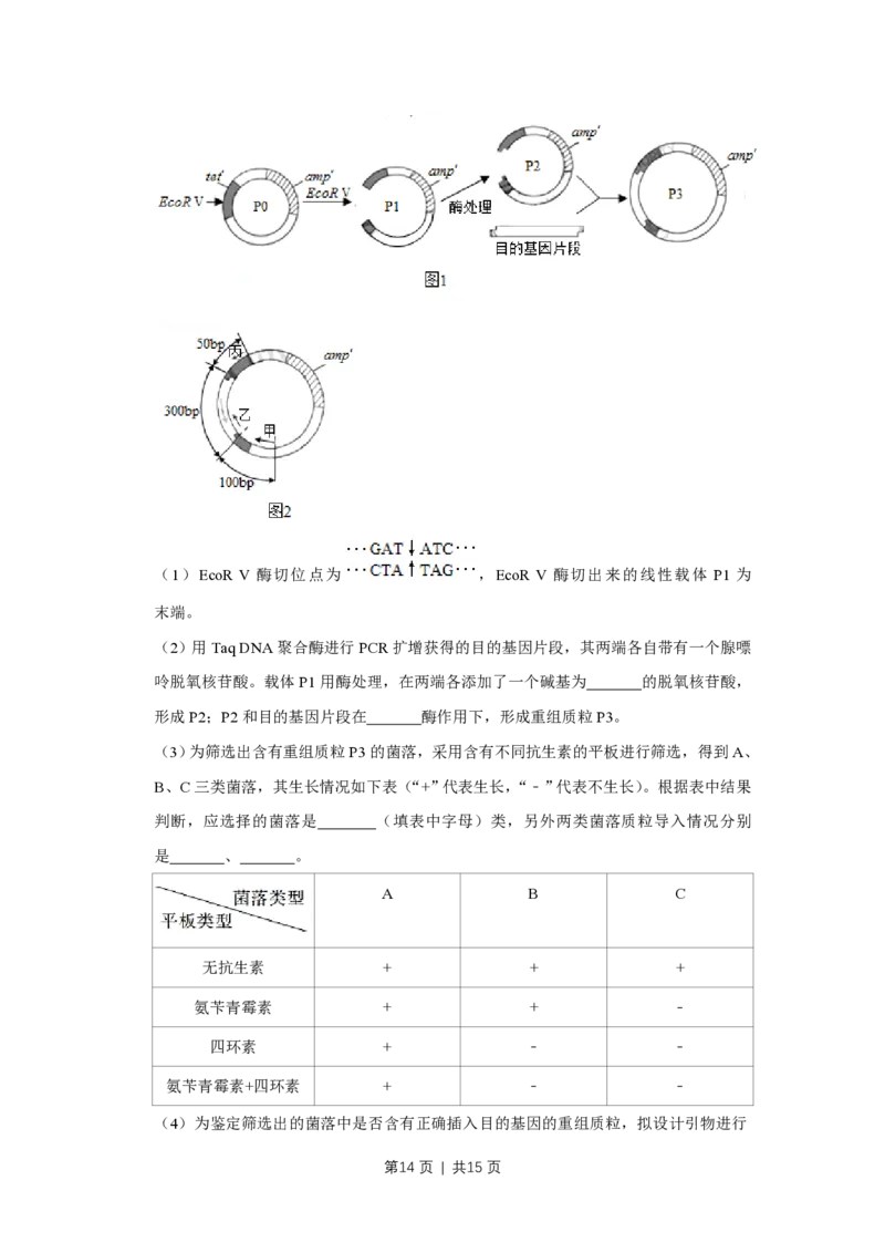 2019年高考生物试卷（江苏）（空白卷）_生物历年高考真题_新&middot;PDF版2008-2025&middot;高考生物真题_生物（按年份分类）2008-2025_2019&middot;高考生物真题