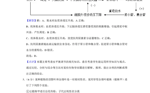 2019年高考生物试卷（新课标Ⅱ）（解析卷）_生物历年高考真题_新&middot;PDF版2008-2025&middot;高考生物真题_生物（按省份分类）2008-2025_2008-2025&middot;（陕西）生物高考真题