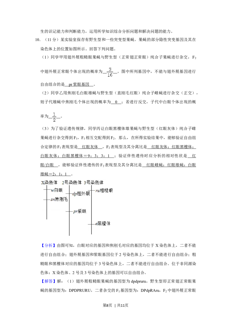 2019年高考生物试卷（新课标Ⅰ）（解析卷）_生物历年高考真题_新&middot;Word版2008-2025&middot;高考生物真题_生物（按年份分类）2008-2025_2019&middot;高考生物真题