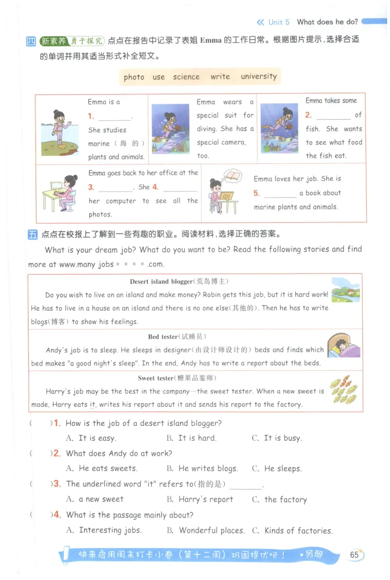 25秋 亮点给力新情境素养 英语人教版 6年级上册