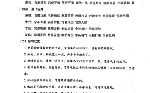 005-讲义_小学生作文专项名师课合集16套小学~视频+PDF_022.跟谁学无忧作文_讲义_无忧作文讲义（10.13)