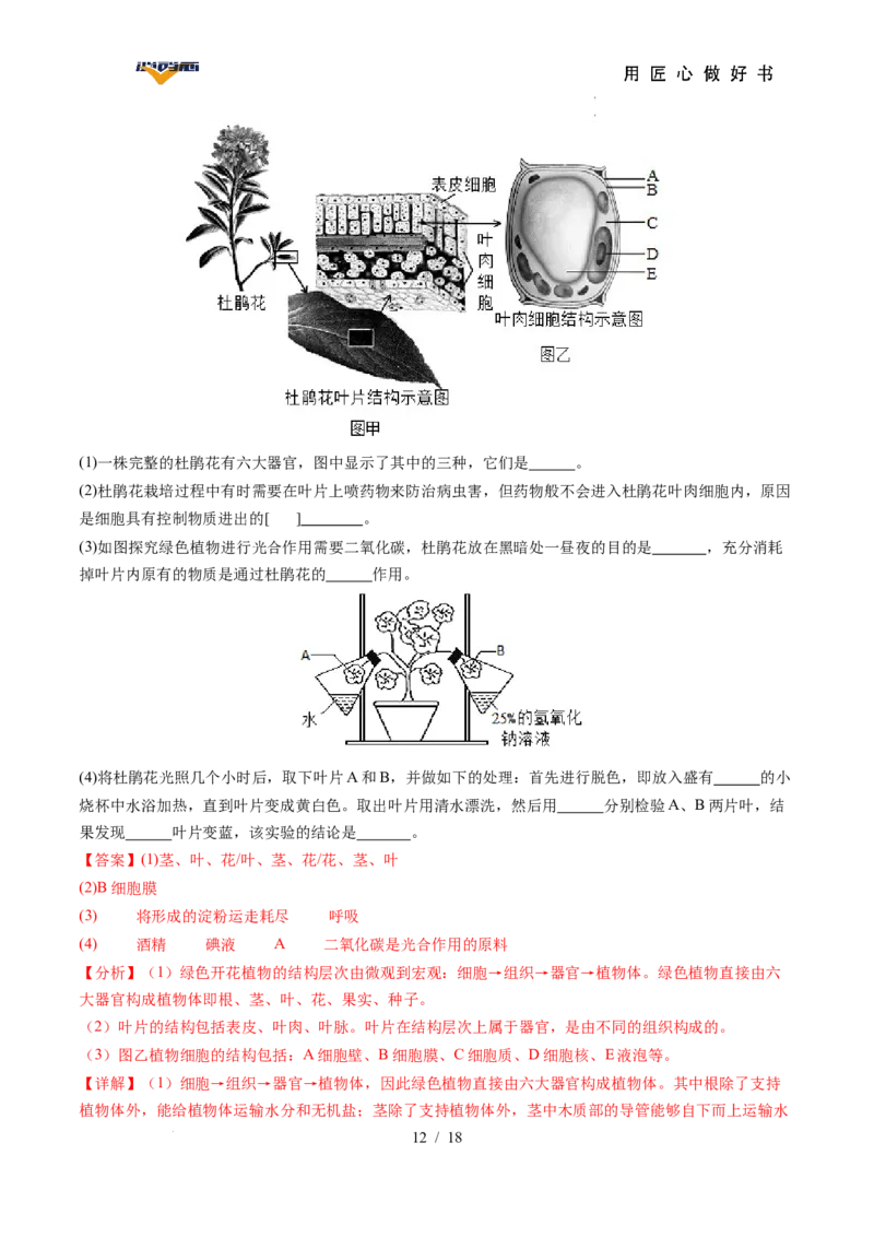 生物（湖南省卷）（全解全析）_2025年初中《中考第一次模拟》全国各地区模拟卷（8科全）(1)_2025年《中考第一次模拟卷》初中生物_湖南&radic;