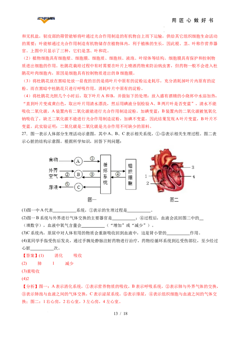 生物（湖南省卷）（全解全析）_2025年初中《中考第一次模拟》全国各地区模拟卷（8科全）(1)_2025年《中考第一次模拟卷》初中生物_湖南&radic;