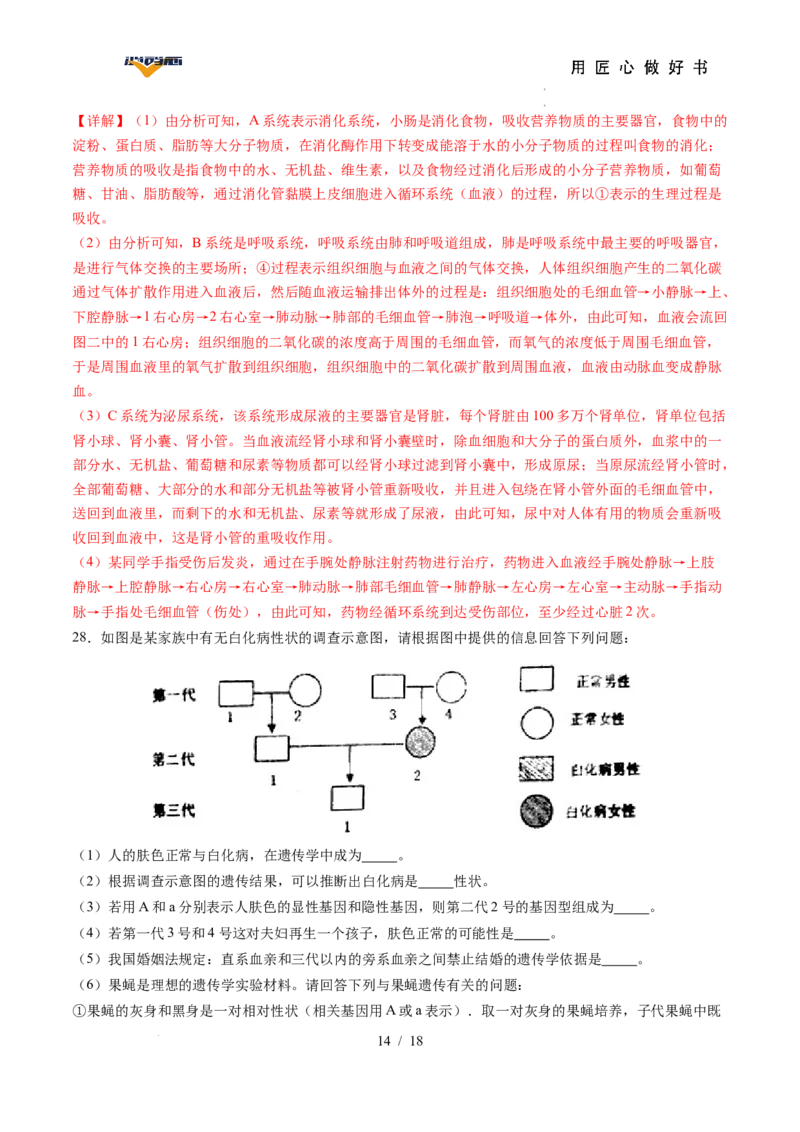 生物（湖南省卷）（全解全析）_2025年初中《中考第一次模拟》全国各地区模拟卷（8科全）(1)_2025年《中考第一次模拟卷》初中生物_湖南&radic;