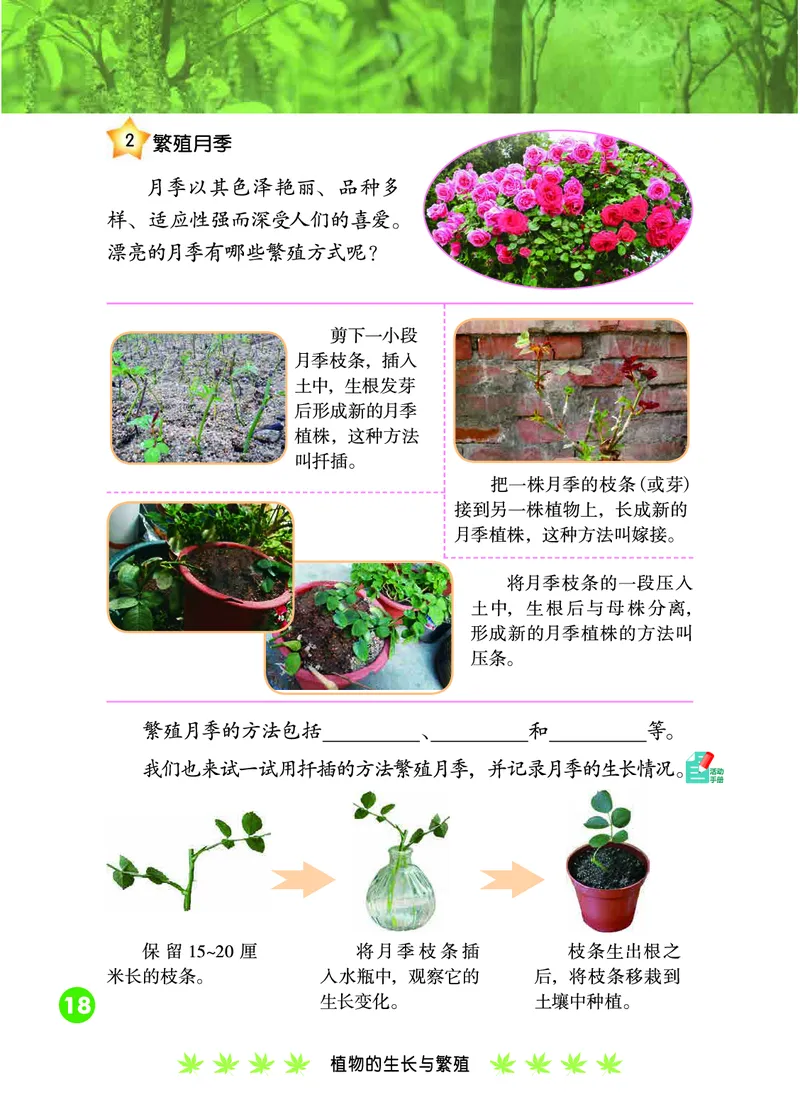 冀教版4年级科学下册高清教材_全部版本&bull;小学科学电子课本_冀教版小学科学电子课本