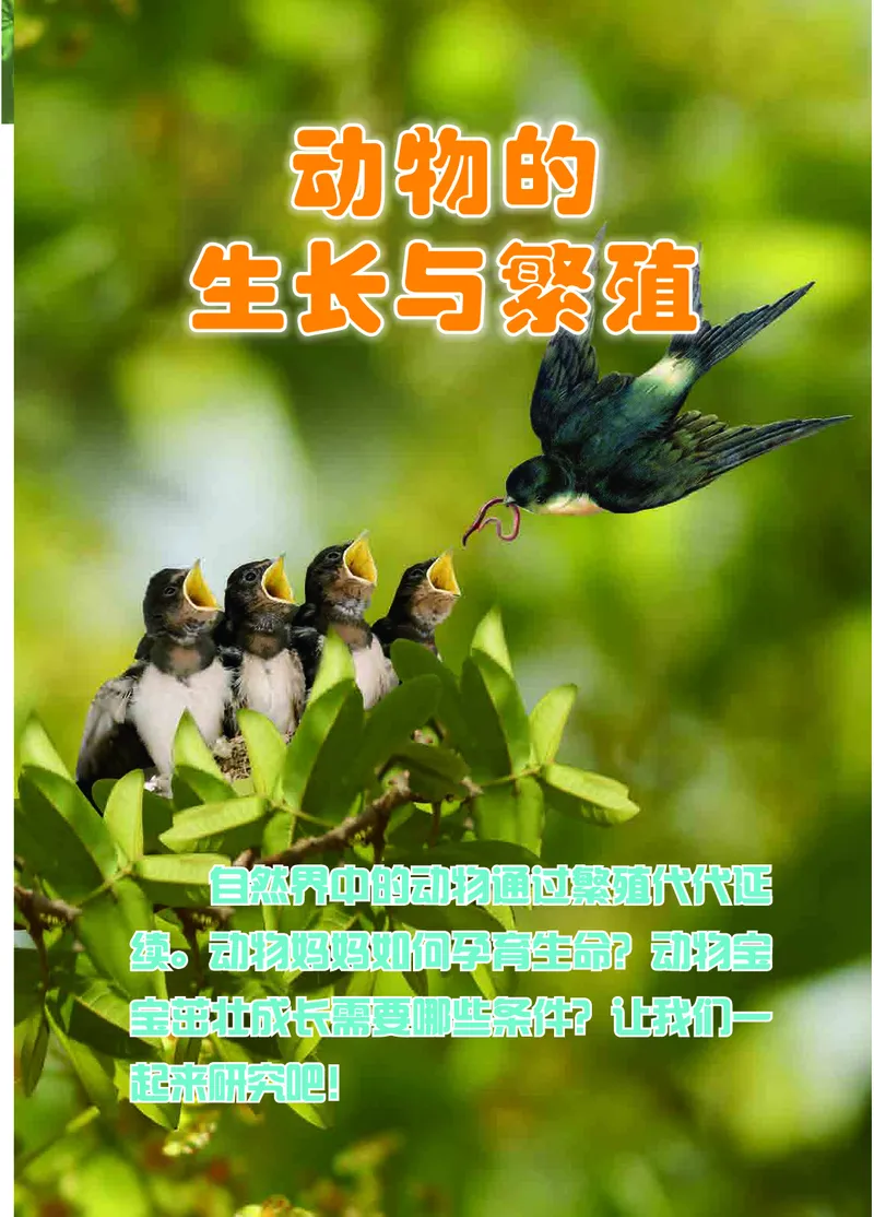 冀教版4年级科学下册高清教材_全部版本&bull;小学科学电子课本_冀教版小学科学电子课本