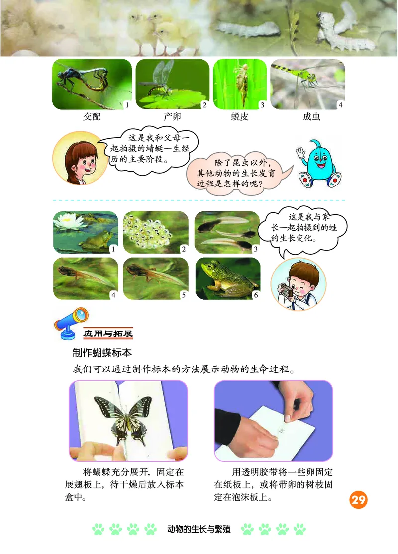 冀教版4年级科学下册高清教材_全部版本&bull;小学科学电子课本_冀教版小学科学电子课本