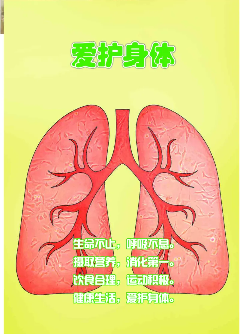 冀教版4年级科学下册高清教材_全部版本&bull;小学科学电子课本_冀教版小学科学电子课本