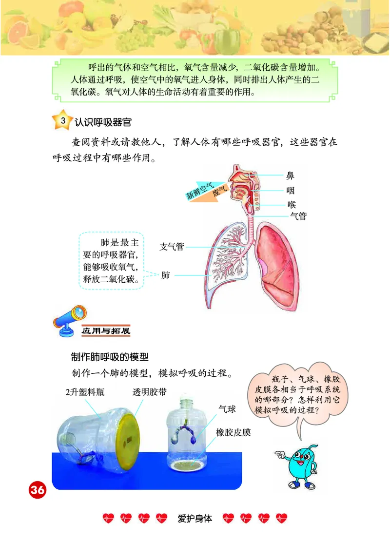 冀教版4年级科学下册高清教材_全部版本&bull;小学科学电子课本_冀教版小学科学电子课本