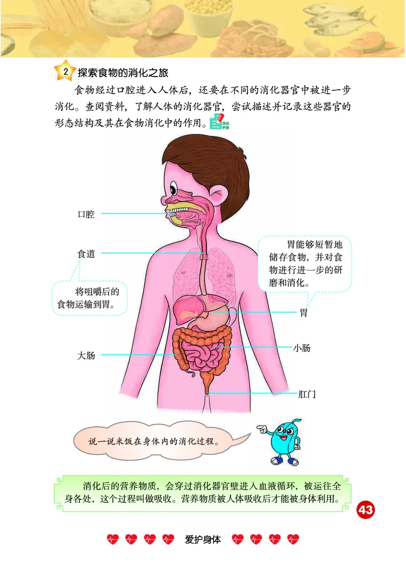 冀教版4年级科学下册高清教材_全部版本&bull;小学科学电子课本_冀教版小学科学电子课本