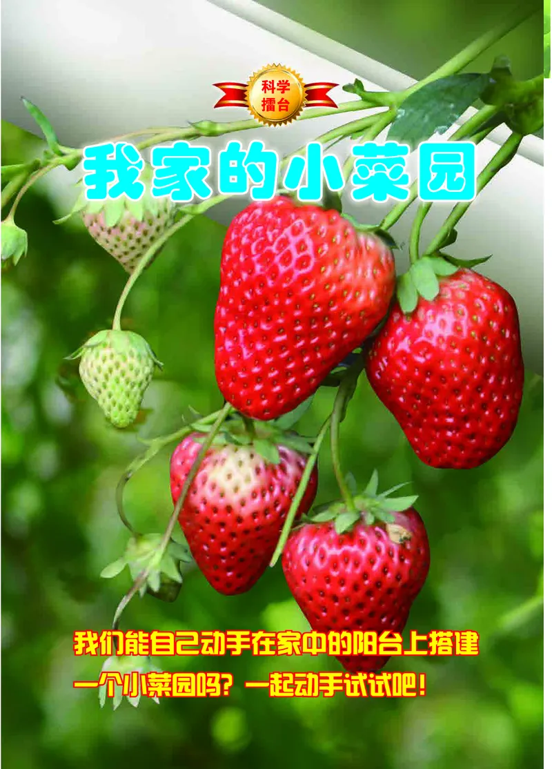 冀教版4年级科学下册高清教材_全部版本&bull;小学科学电子课本_冀教版小学科学电子课本