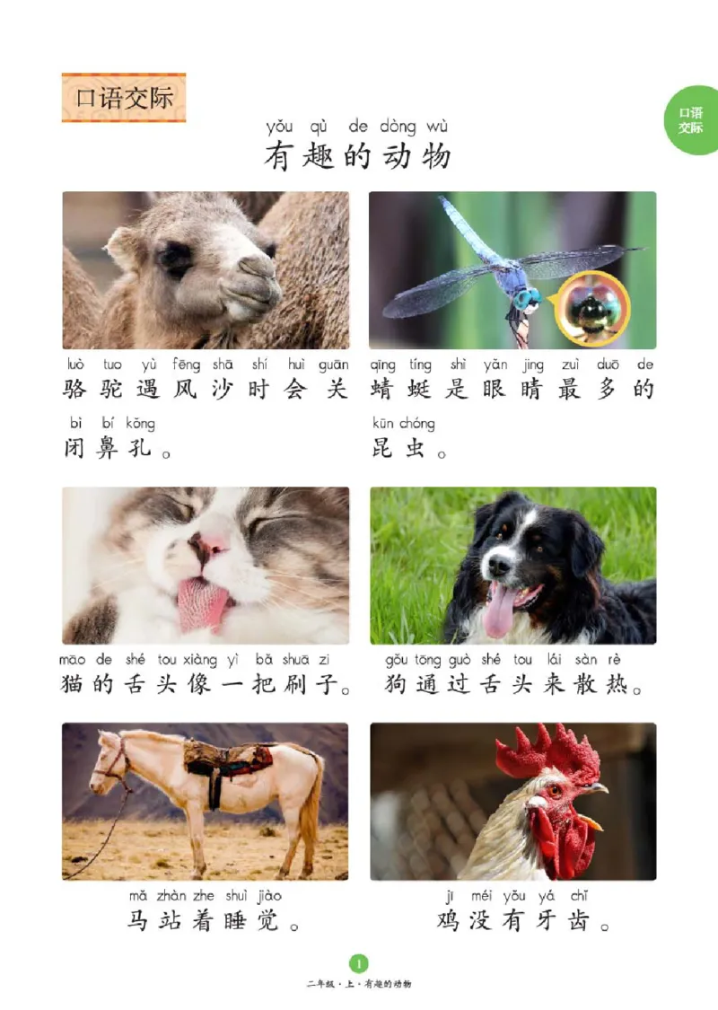 2年级-C1_二年级上下册资料_小学二年级学习资料-25年更新版_2-01、小学二年级语文上册_2-1-2、练习题、作业、试题、试卷_电子册类_《绘本课堂》语文2年级上册（RJ）