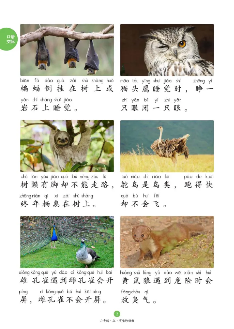 2年级-C1_二年级上下册资料_小学二年级学习资料-25年更新版_2-01、小学二年级语文上册_2-1-2、练习题、作业、试题、试卷_电子册类_《绘本课堂》语文2年级上册（RJ）