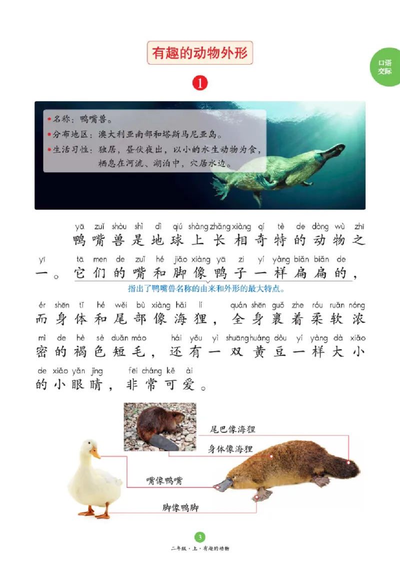 2年级-C1_二年级上下册资料_小学二年级学习资料-25年更新版_2-01、小学二年级语文上册_2-1-2、练习题、作业、试题、试卷_电子册类_《绘本课堂》语文2年级上册（RJ）