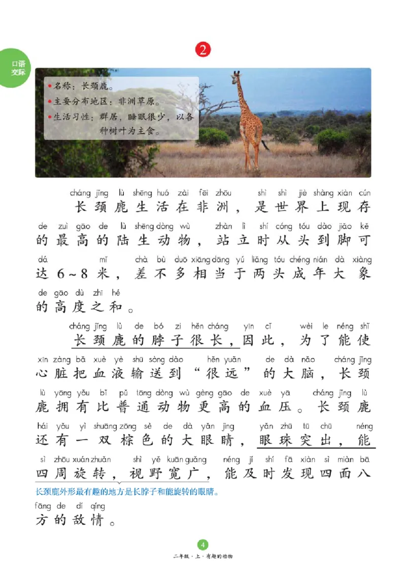 2年级-C1_二年级上下册资料_小学二年级学习资料-25年更新版_2-01、小学二年级语文上册_2-1-2、练习题、作业、试题、试卷_电子册类_《绘本课堂》语文2年级上册（RJ）