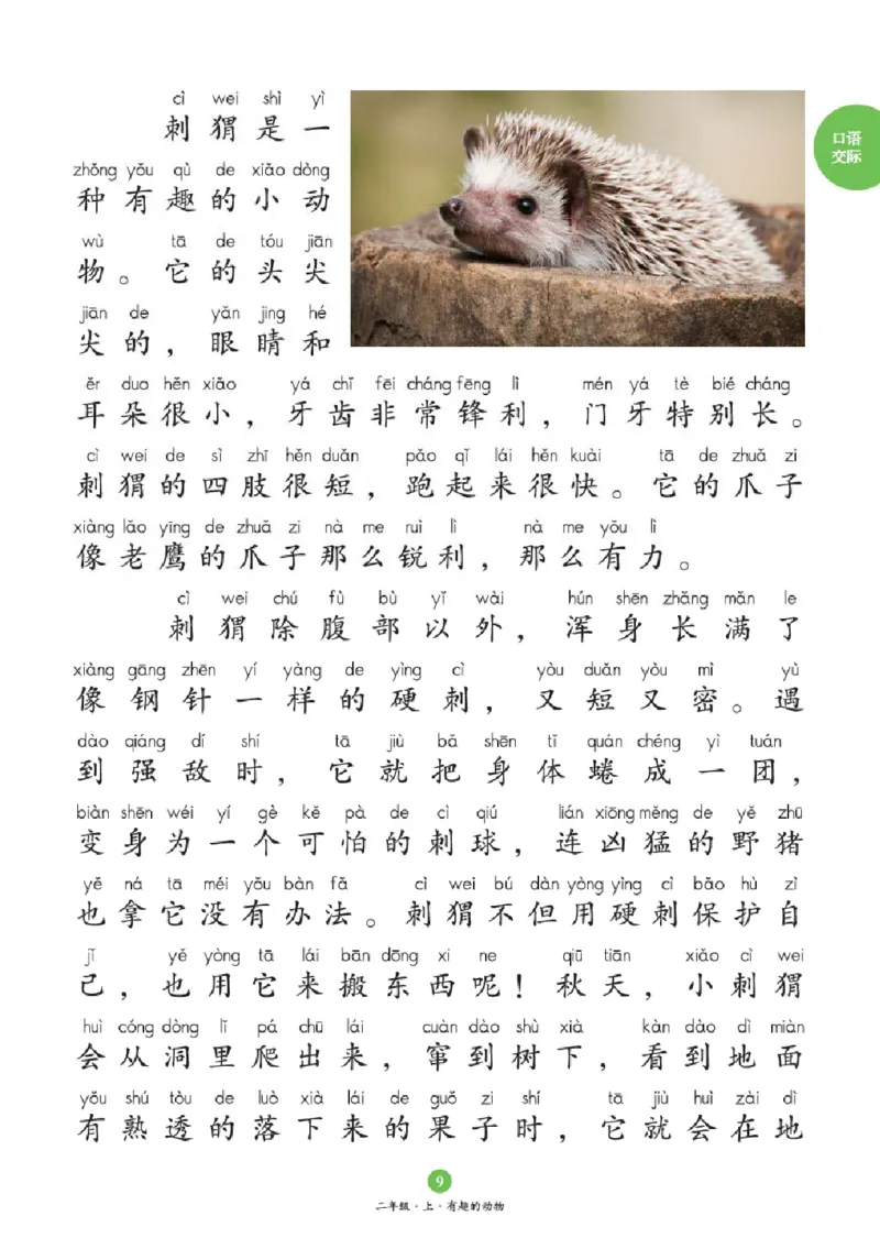 2年级-C1_二年级上下册资料_小学二年级学习资料-25年更新版_2-01、小学二年级语文上册_2-1-2、练习题、作业、试题、试卷_电子册类_《绘本课堂》语文2年级上册（RJ）