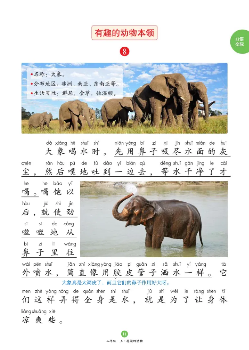 2年级-C1_二年级上下册资料_小学二年级学习资料-25年更新版_2-01、小学二年级语文上册_2-1-2、练习题、作业、试题、试卷_电子册类_《绘本课堂》语文2年级上册（RJ）