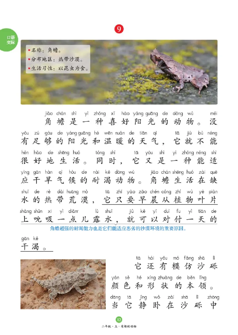 2年级-C1_二年级上下册资料_小学二年级学习资料-25年更新版_2-01、小学二年级语文上册_2-1-2、练习题、作业、试题、试卷_电子册类_《绘本课堂》语文2年级上册（RJ）