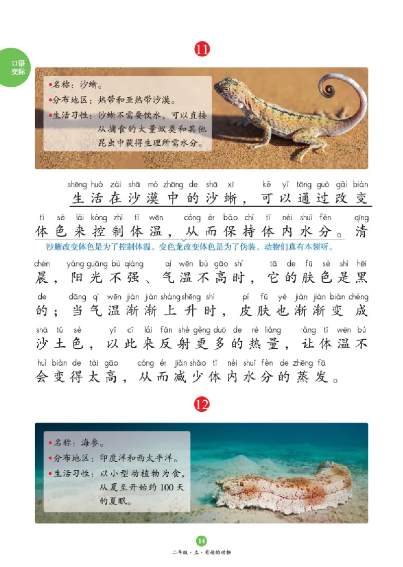 2年级-C1_二年级上下册资料_小学二年级学习资料-25年更新版_2-01、小学二年级语文上册_2-1-2、练习题、作业、试题、试卷_电子册类_《绘本课堂》语文2年级上册（RJ）