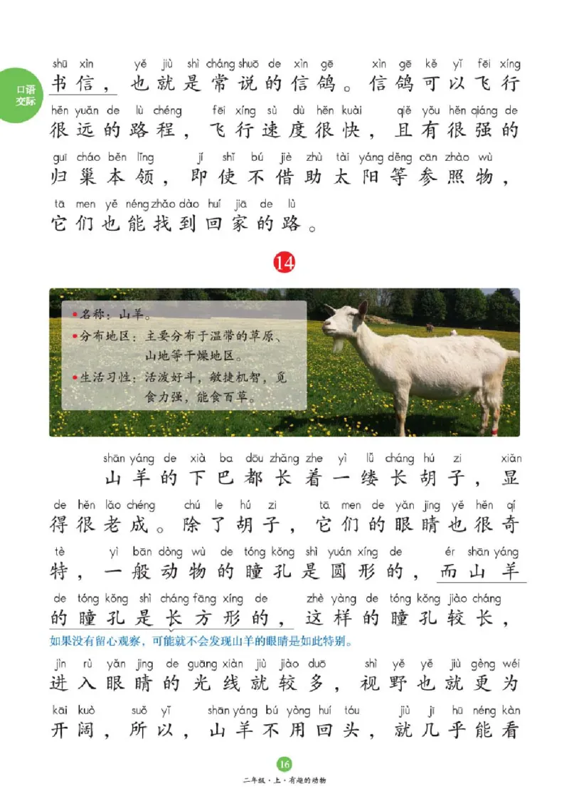 2年级-C1_二年级上下册资料_小学二年级学习资料-25年更新版_2-01、小学二年级语文上册_2-1-2、练习题、作业、试题、试卷_电子册类_《绘本课堂》语文2年级上册（RJ）