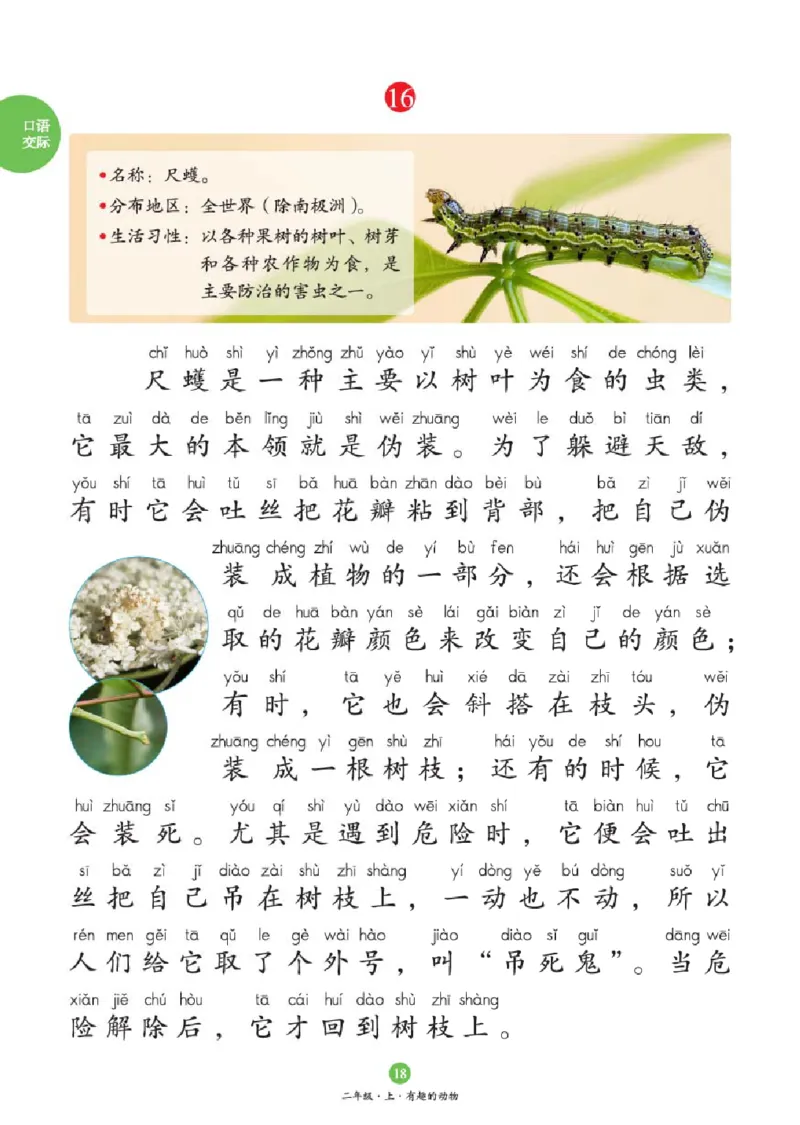 2年级-C1_二年级上下册资料_小学二年级学习资料-25年更新版_2-01、小学二年级语文上册_2-1-2、练习题、作业、试题、试卷_电子册类_《绘本课堂》语文2年级上册（RJ）