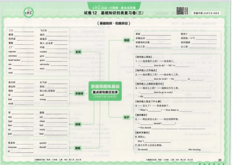 25秋英语人教PEP版6上_2025秋《王朝霞活页卷》英语人教3-6