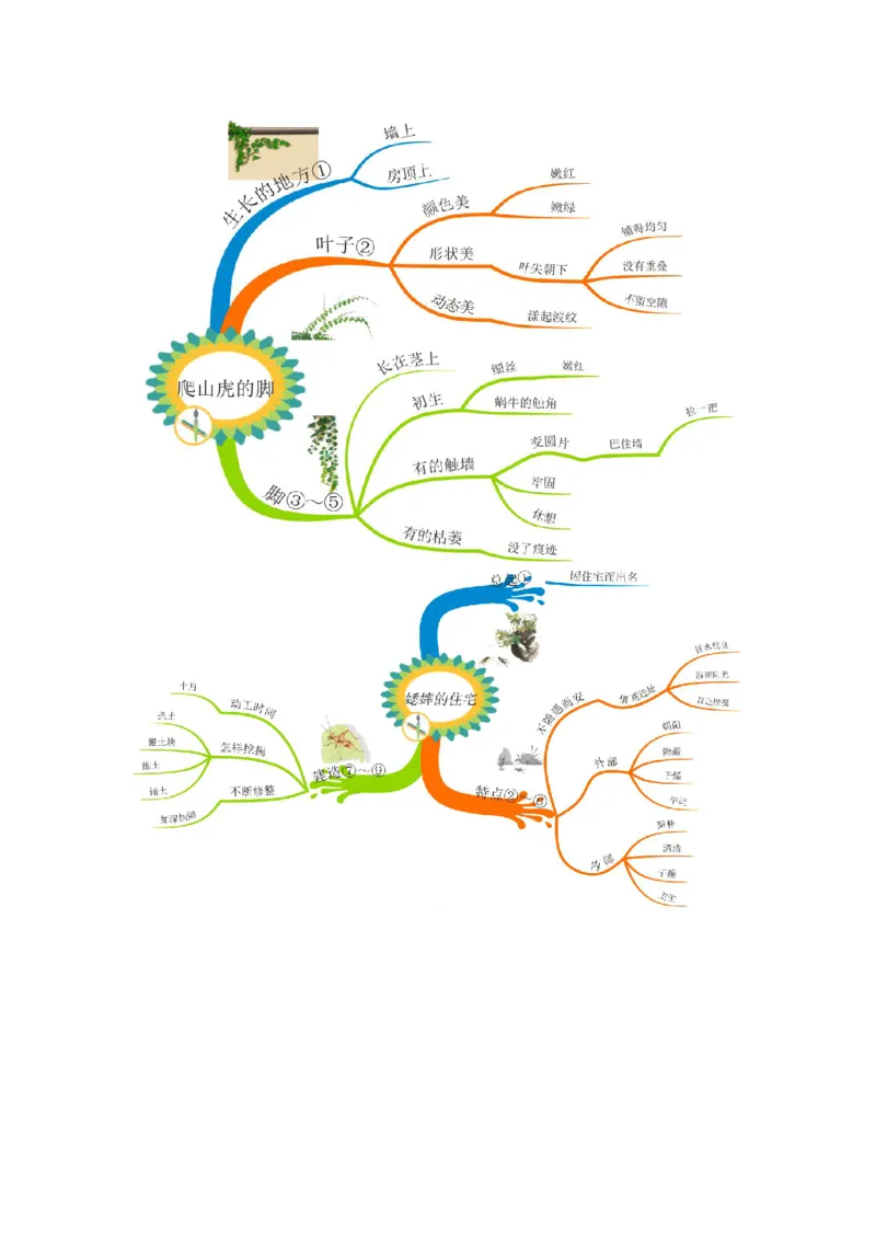 四(上）语文全册课文思维导图_上册_四（上）语文期末重点归类文件