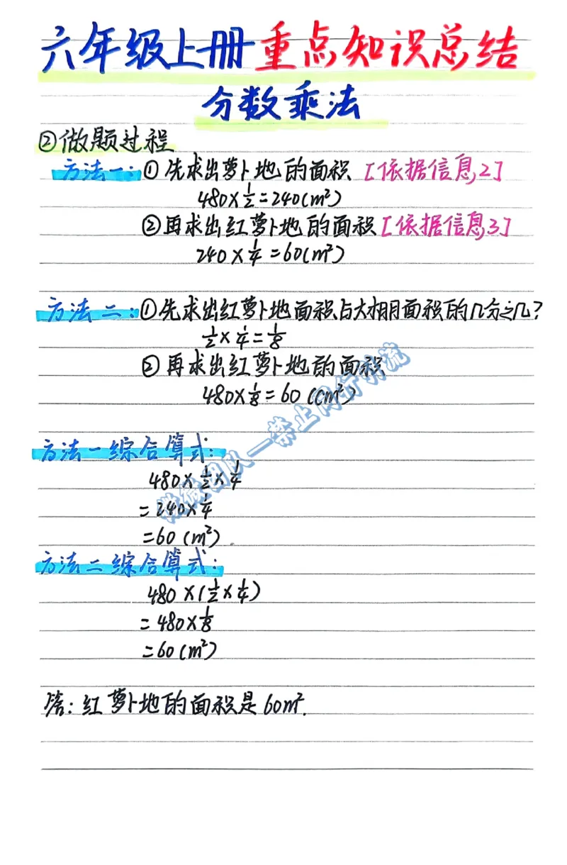 六年级上学习计划（分享版）_小学全网线上同款资料_26号文件5上6上数学