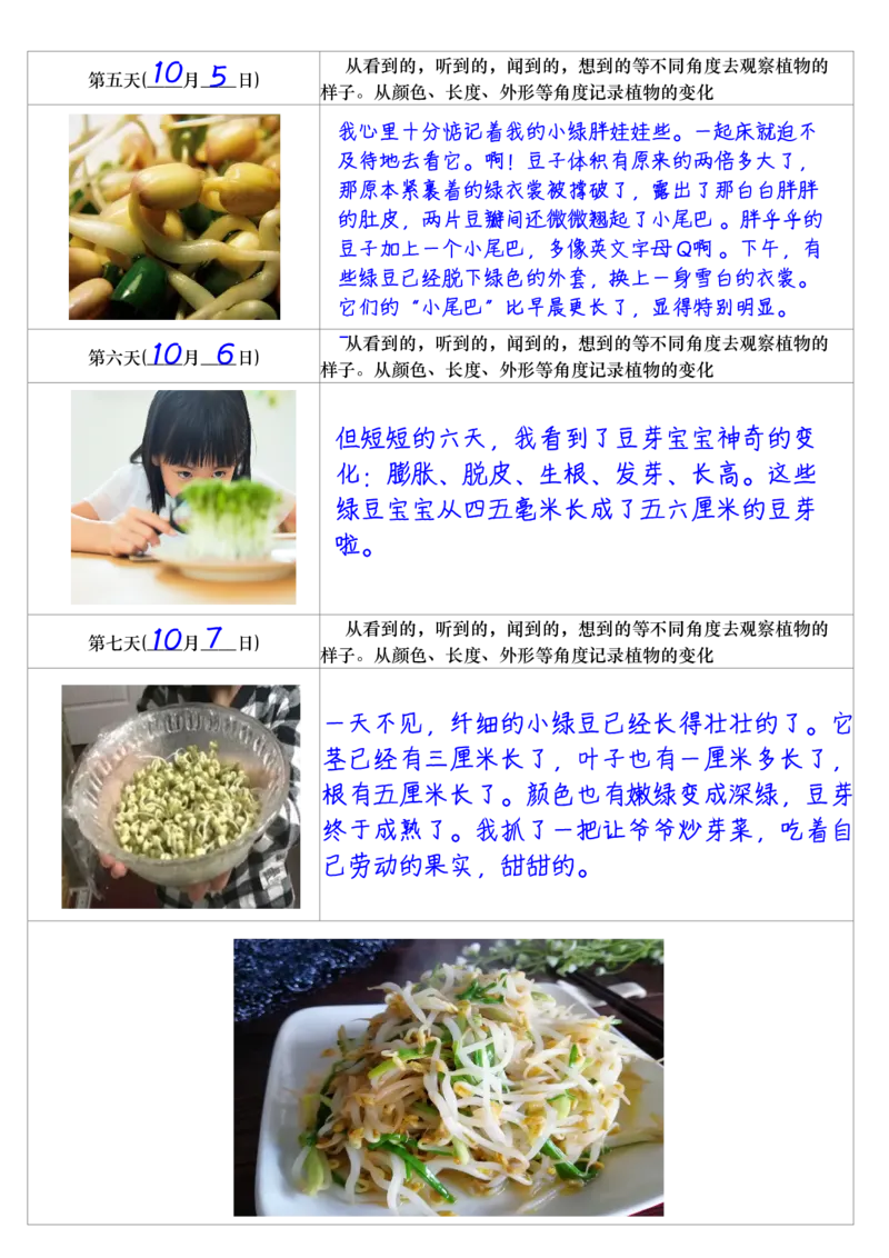 25秋🍎四年级上册语文第三单元《写观察日记》作文支架＋观察记录表+优秀范文_25秋语文1-6年级上册热门资料