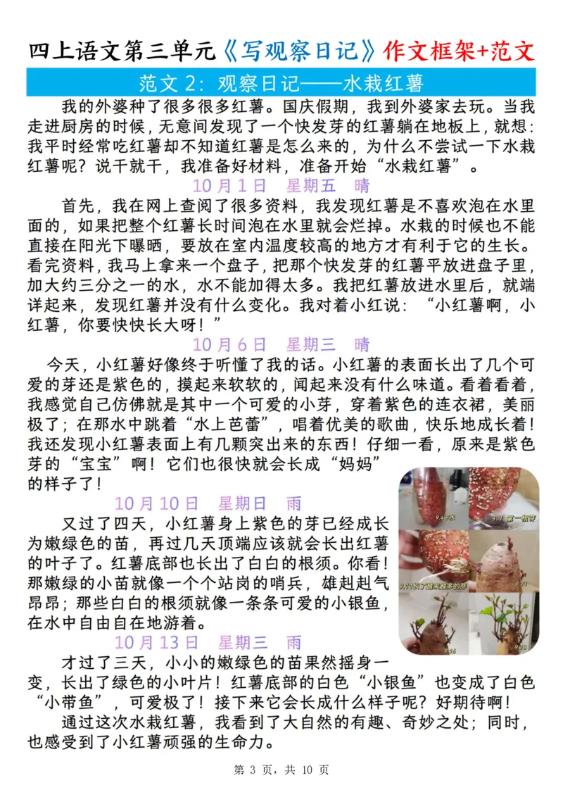 25秋🍎四年级上册语文第三单元《写观察日记》作文支架＋观察记录表+优秀范文_25秋语文1-6年级上册热门资料
