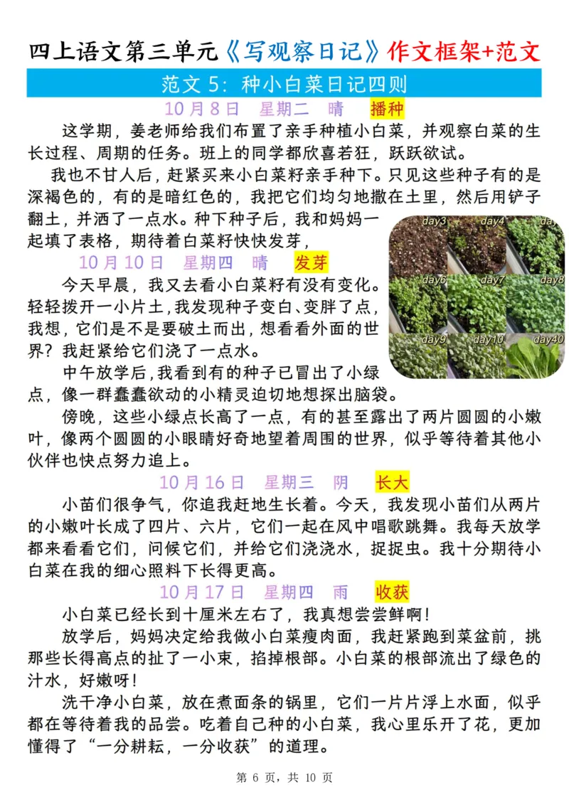 25秋🍎四年级上册语文第三单元《写观察日记》作文支架＋观察记录表+优秀范文_25秋语文1-6年级上册热门资料